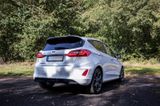 Ford Fiesta ST-Line 140PS // 8 Fach bereift - Ford Fiesta: 14