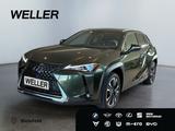 Lexus UX 250h Style Edition *Bi-LED*ACC*CAM*SHZ*CarPla - Lexus UX: Style Edition