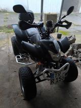 Andere Lydia 203 - Angebote