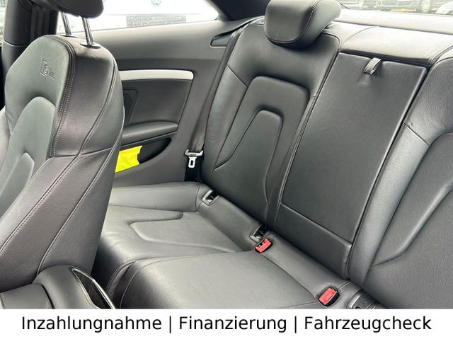 Bild 19