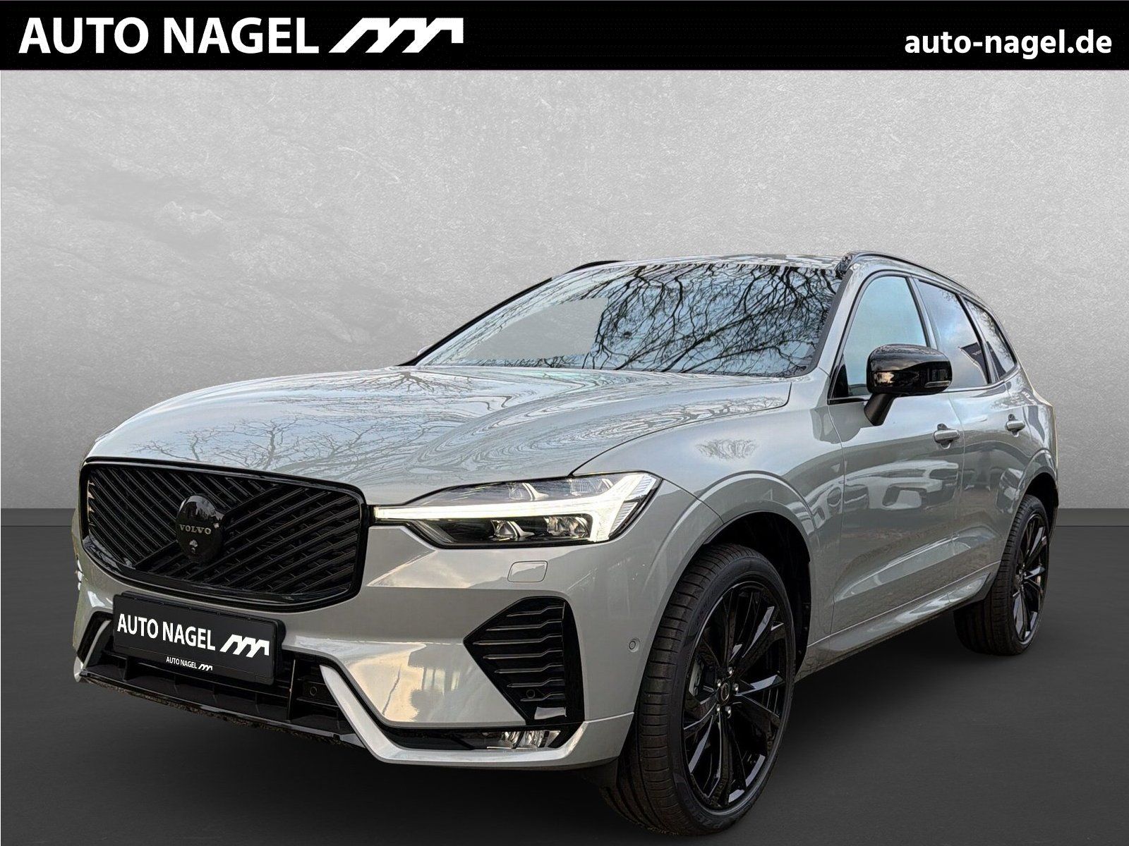 Volvo XC60 B5 AWD Ultra Black Edition *B&W+Tageszul.*