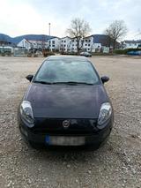 Fiat Punto 1.2 Benzin, BJ 2013 - Fiat Punto von privat
