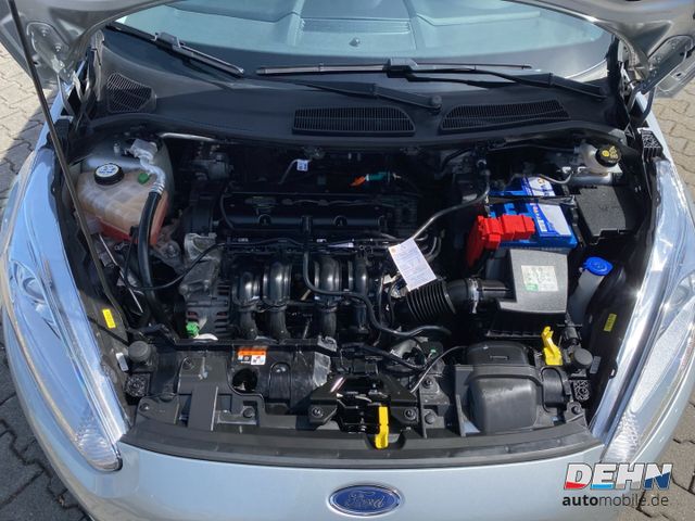 Ford Fiesta 1.25 Celebration Winterpaket