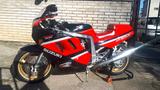 Suzuki 1100 GSXR - SUZUKI 1100
