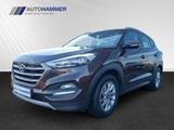 Hyundai Tucson 1.6T 4WD DCT TREND SHZ LHZ Navi Kamera - Hyundai: Allradantrieb, Geländewagen