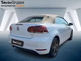 Volkswagen Golf Cabriolet 1.2 TSI PDC+SHZ - Volkswagen Golf: Cabrio