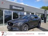 Mazda CX-5 Sports-Line-Plus 194 Automatik Allrad|Bose| - Mazda CX-5 in Herne