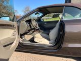 Audi A5 2.0 quattro Cabriolet  - Audi A5 aus 2011