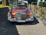 Mercedes-Benz S 250 SE - Mercedes-Benz S 250 mit Benzin-Antrieb: Limousine