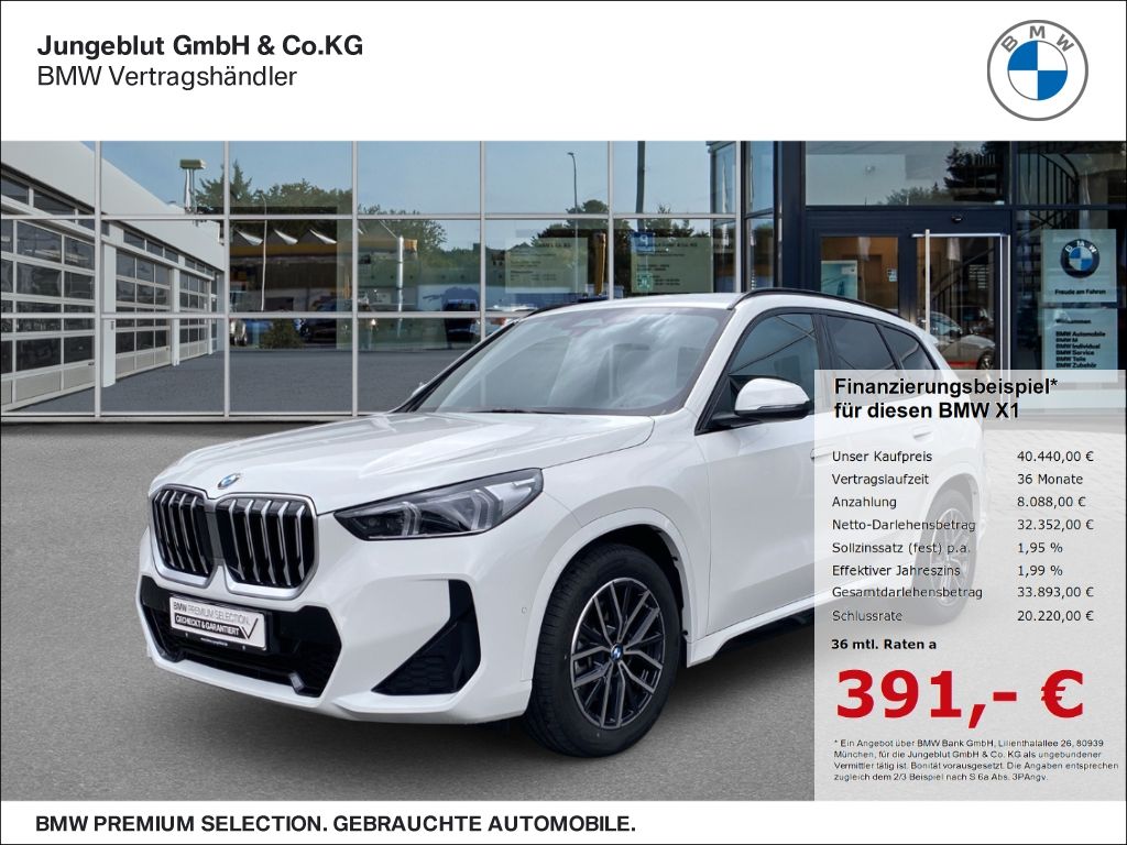 BMW X1 sDrive20i M Sport AHK Sitzhg. Adapt.LED-Schei foto 1