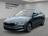Skoda Octavia Lim. 2.0 TDI 110kW DSG Ultimate 5 Jahre - Skoda Octavia: Ultimate