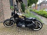 Harley-Davidson Sportster 48 XL 1200X Forty eight - HARLEY-DAVIDSON 2010 SPORTSTER 1200