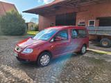 Volkswagen Caddy Maxi - Volkswagen Caddy Maxi aus 2008