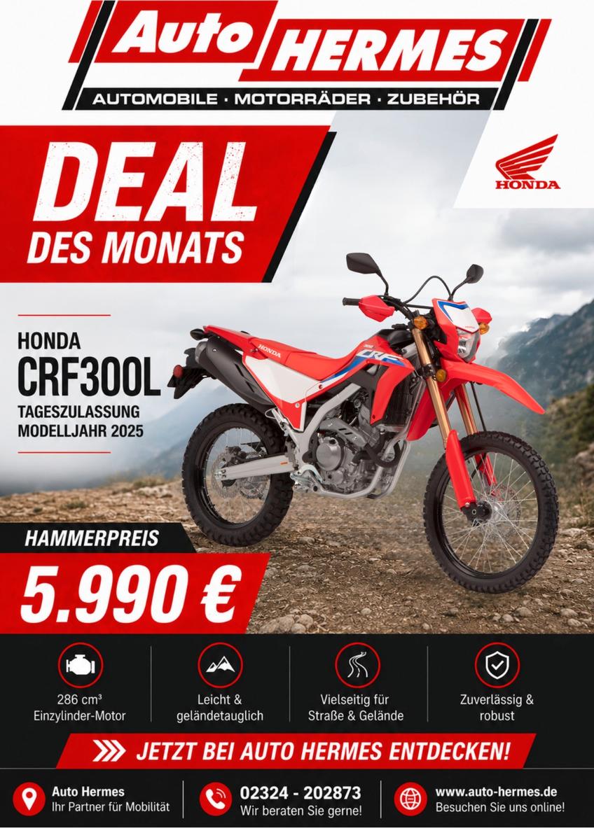 Honda CRF300L *Tageszulassung*