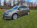 Mercedes-Benz B 180 - - Mercedes-Benz B 180: Von Privat