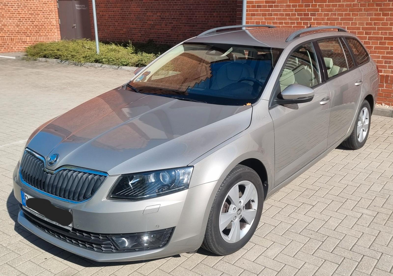 Skoda Octavia 1.4 TSI Combi Leder Webasto AHK