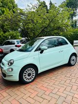 Fiat 500 CABRIO Trendmodell MINT GRÜN Beige - Fiat 500C in Dortmund