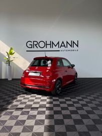 Fiat 500 - 6