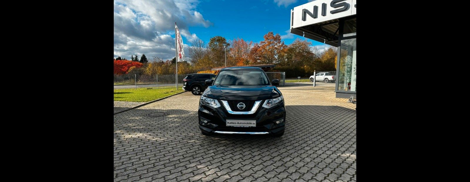 Fahrzeugabbildung Nissan X-Trail N-Way 4x4