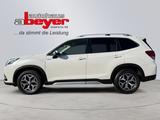 Subaru Forester 2.0i e-BOXER Active 4WD AHK KAMERA - Subaru mit Hybrid-Antrieb