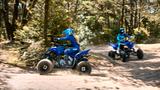 Yamaha YFM 110 cm³ - QUAD 110