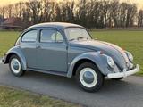 Volkswagen VW Käfer Standard 1958 mit TÜV - Volkswagen Touareg: Standard