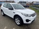 Land Rover Discovery Sport D150 2WD  Pure - Land Rover Discovery Sport in Essen