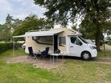 Ahorn Alaska TQ Plus - Angebote