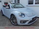 Volkswagen Beetle 1.4TSI DSG Allstar Plus Leder Fender DAB - Volkswagen Beetle: Fender