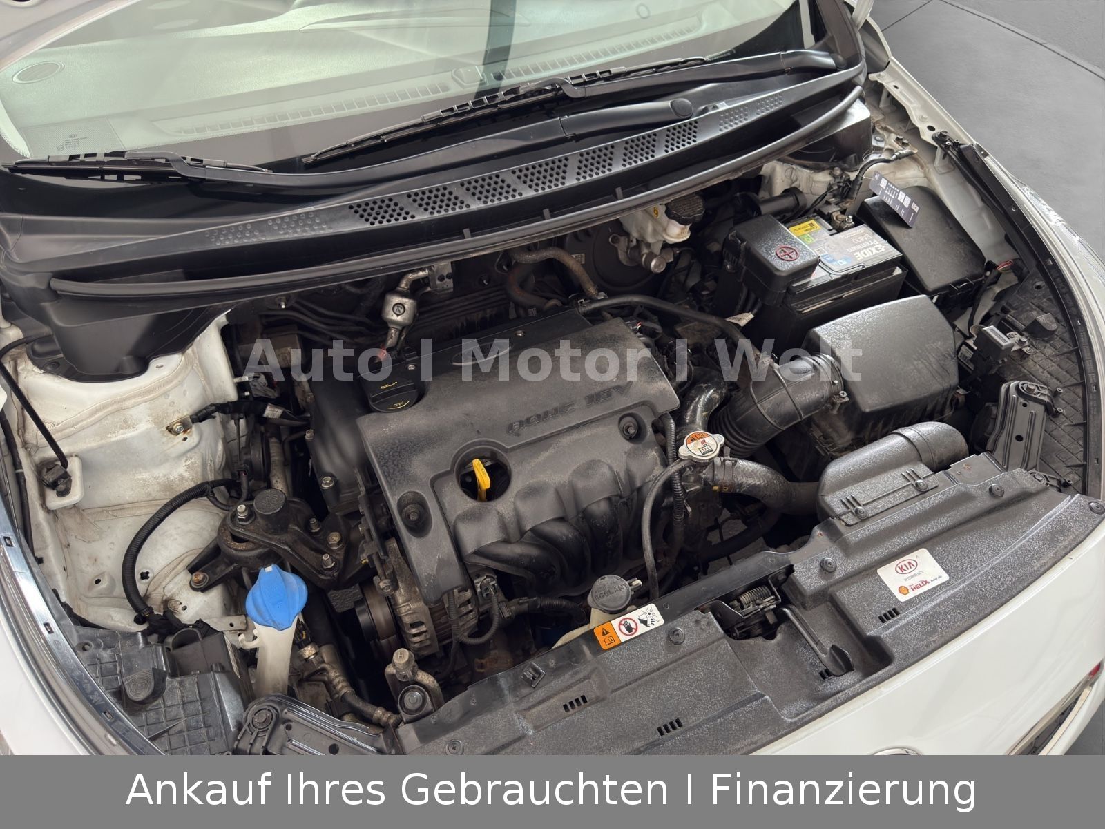 Fahrzeugabbildung Kia Ceed FIFA World Cup Edition ALU/SHZ/LKRDHZ/KLIMA