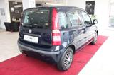 Fiat Panda 1.2 8V Dynamic AUTOMATIK - Fiat Panda Dynamic mit Benzin-Antrieb