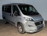 Fiat Ducato Luxusbus Panorama 30 130 L1H1 RS: 3000 mm - Fiat 8-Sitzer