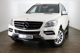 Mercedes-Benz ML 250 4Matic*Sport*Kamera*AHK* - Mercedes-Benz ML 250 aus 2012