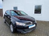 Volkswagen Polo V Comfortline 5/Türer Klima Sitzh.PDC - Volkswagen Polo: Türer