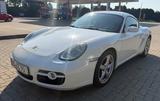 Porsche Cayman S    3.4   217KW - Porsche Cayman: 3.4
