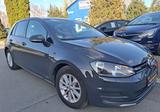 Volkswagen Golf VII 1.6TDI Trendline BlueMotion - Volkswagen Golf: Trendline Bluemotion