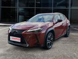 Lexus UX 250h  (E-FOUR) Luxury Line - Lexus UX 250h Gebrauchtwagen