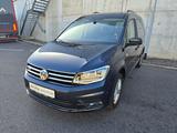 Volkswagen Caddy Maxi 4Motion DSG AHK ACC DAB Standheizung - Volkswagen Caddy: 4motion Dsg