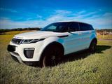 Andere Range Rover Evoque Bj.2016 Top Zustand 150 PS - Andere mit Diesel-Antrieb: Scheckheftgepflegt