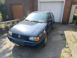 Volkswagen VW Polo Classic 6kv - Volkswagen Polo: 6kv