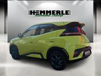 BYD DOLPHIN SURF Comfort*!!!!!!!ONLINEPREIS!!!!!