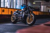 Harley-Davidson Sportster 1250 S  X-Trem Performance 240er Umbau - HARLEY-DAVIDSON SPORTSTER UMBAU
