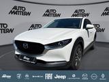 Mazda CX-30 L SKYACTIV-X 2.0 M Hybrid 6GS AL-SELECTION - Mazda CX-30 in Bielefeld
