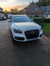 Audi Q5 3.0 TFSI Quattro, HU 04/27, 8-Fach, Navi, BT - Audi Q5 mit Benzin-Antrieb: 3.2