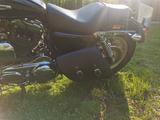 Harley-Davidson Sportster XL1200 C - MOTORRAD SPORT