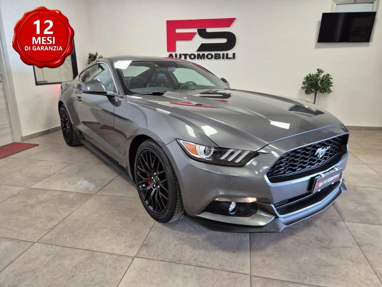 Ford Mustang Fastback 2.3 EcoBoost (SOLO 18.500K