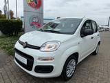 Fiat Pandina Icon Klima PDC Radio Bluetooth - Fiat Panda Neuwagen mit Benzin-Antrieb