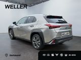 Lexus UX 250h F SPORT Design *Bi-LED*ACC*CAM*SHZ*PDC* - Lexus in Dortmund