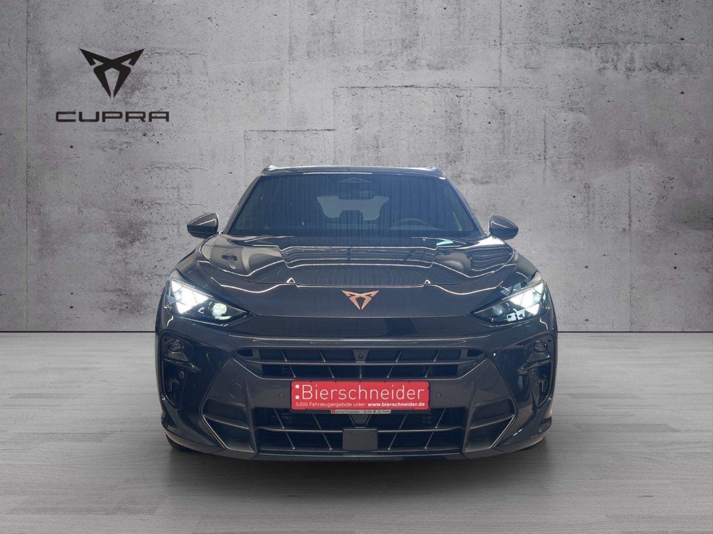 Cupra Terramar - Bild 2
