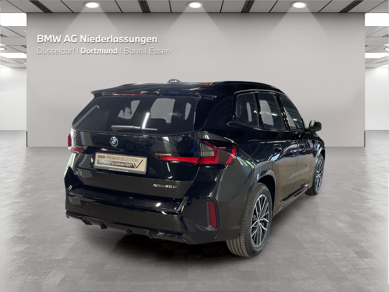 BMW X1 xDrive30e M Sport AHK Driv.Assist.Prof LED foto 5